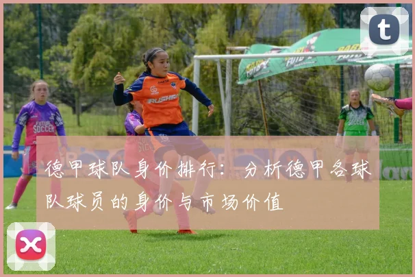 德甲球队身价排行：分析德甲各球队球员的身价与市场价值