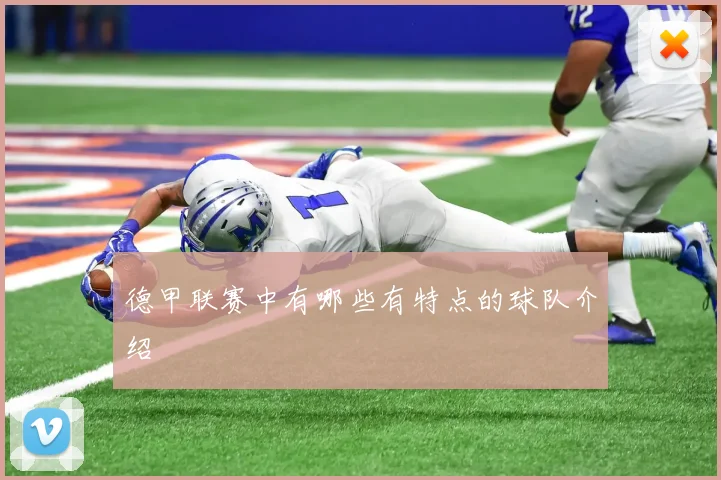 德甲联赛中有哪些有特点的球队介绍