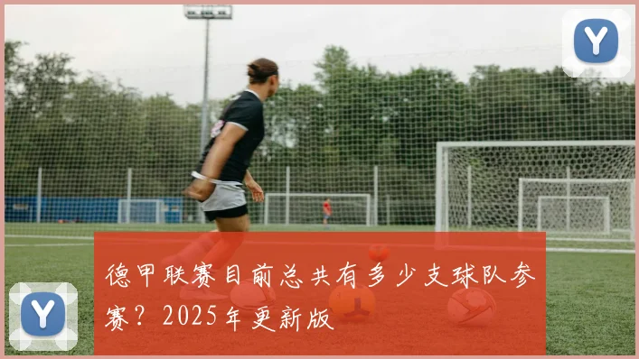 德甲联赛目前总共有多少支球队参赛？2025年更新版